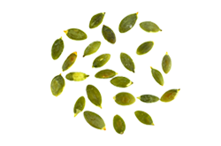 bread_transparent_04 http://biscuit.ro/wp-content/uploads/2017/07/bread_transparent_04.png