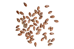 bread_transparent_07 http://biscuit.ro/wp-content/uploads/2017/07/bread_transparent_07.png